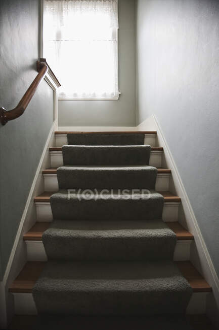 Stairs with carpet and handrail, low angle view — Stock Photo