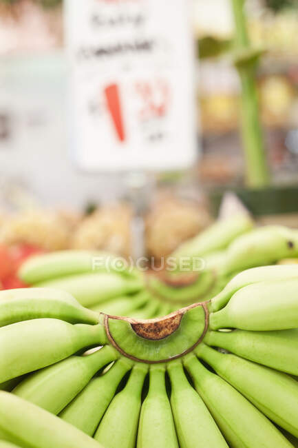 Primer plano del racimo de plátanos en el puesto de mercado. - foto de stock