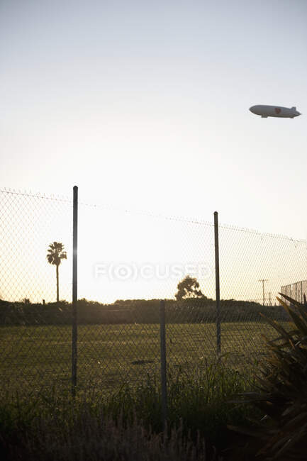 Blimp flying over park with palm trees and wire fence in foreground. — Stock Photo