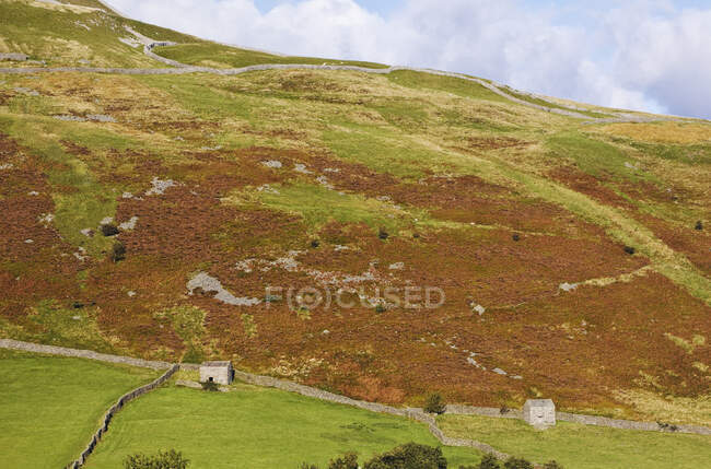 Cabañas de piedra en el paisaje rural heathery. - foto de stock