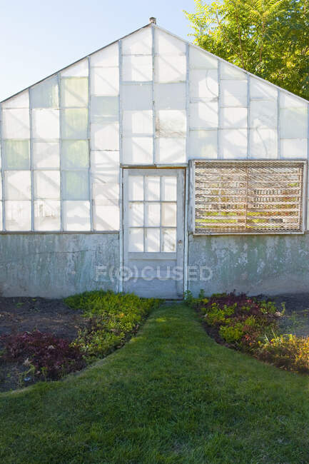 Exterior of dilapidated abandoned greenhouse. — Stock Photo