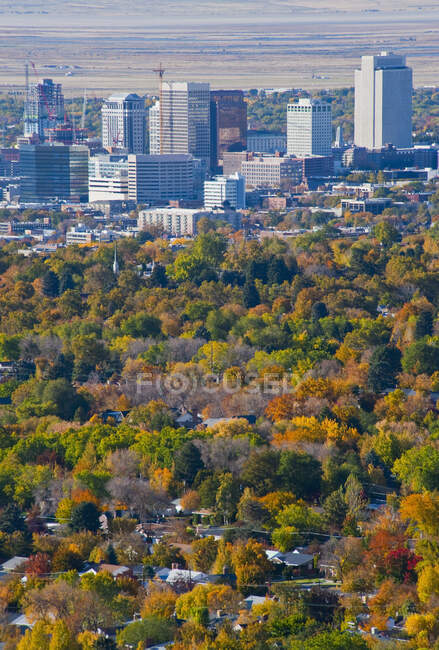 Skyscrapers with wooded suburb in foreground. — Stock Photo