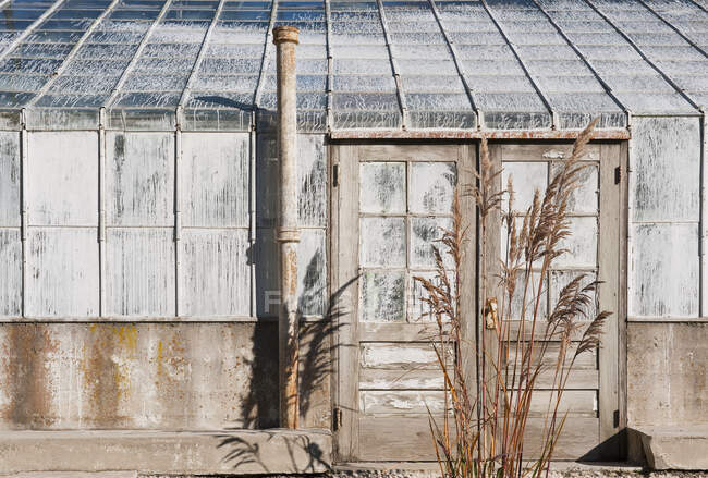 Теплица с отделкой и грязными стеклянными окнами, дымоходом и дверями, заброшенная оранжерея — стоковое фото
