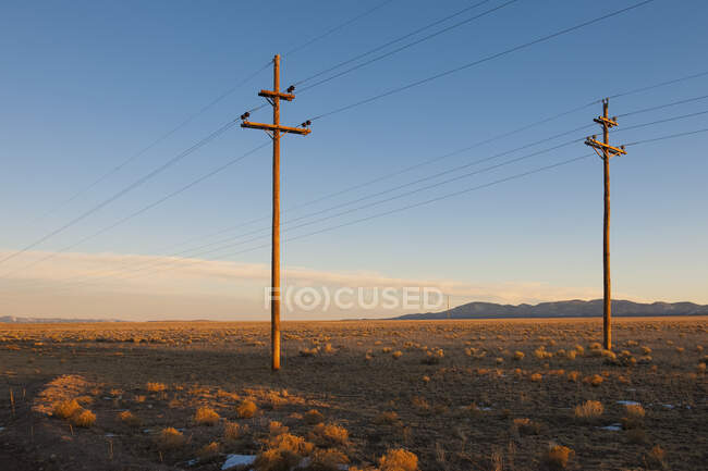 Електричні лінії в пустельному ландшафті. — стокове фото