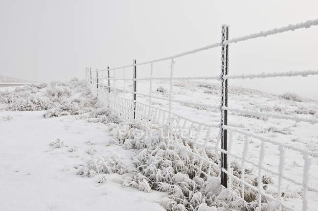 Drahtzaun in verschneiter ländlicher Landschaft mit trübem grauen Himmel. — Stockfoto