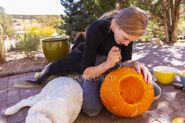 Adolescente chica tallando calabazas en el patio con perros acostados. - foto de stock