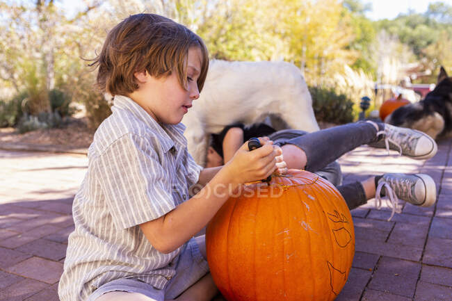 Молодий хлопчик різьблення гарбуз на патіо . — стокове фото
