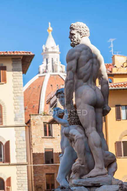 Statua di Nettuno, Piazza Della Signora, Firenze, Italia — Foto stock