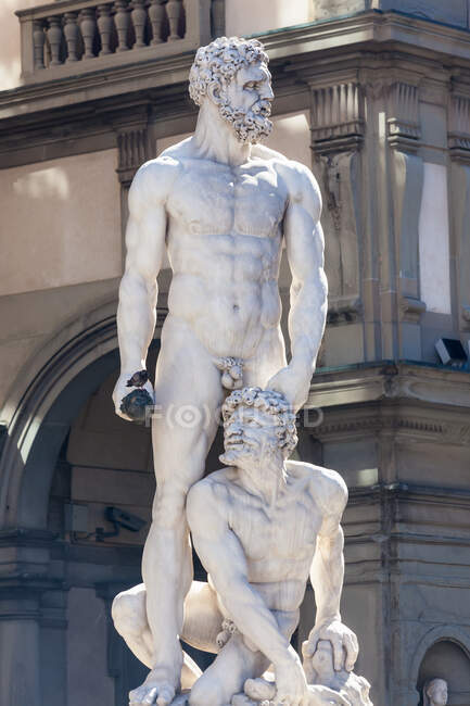 Estátua de Neptuno, Piazza Della Signora, Florença, Itália — Fotografia de Stock