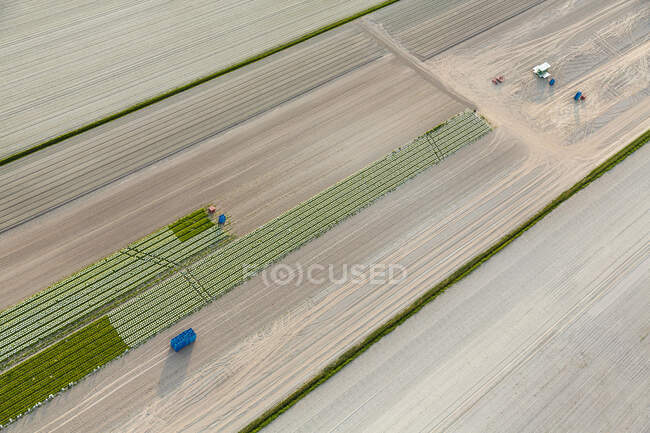 Vista aérea de plantación, Manche, Normandía - foto de stock