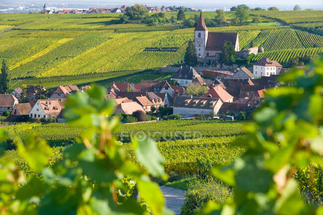 Hunawihr Dorf und Weinberge, Elsass, Frankreich — Stockfoto