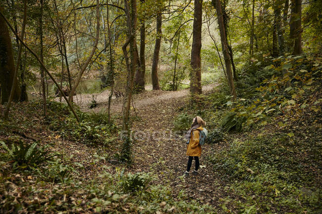 Frau steht im Wald und blickt zu Bäumen auf — Stockfoto