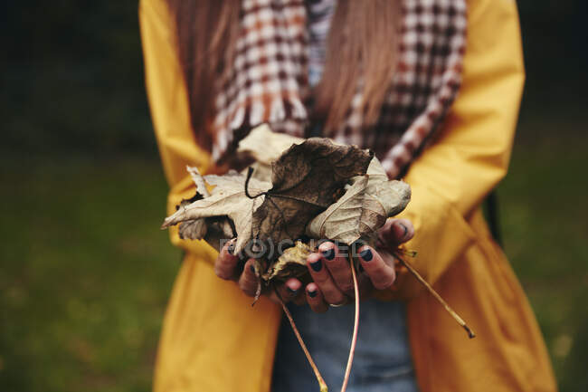 Mains tenant des feuilles séchées à la caméra — Photo de stock