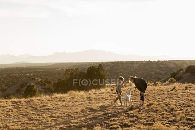 Children at sunset playing with their English Cream Golden Retreiver — Stock Photo