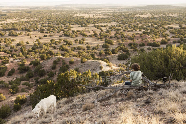 Мальчик, Бассейн Джезео, Санта-Фе, штат Нью-Мексико. — стоковое фото