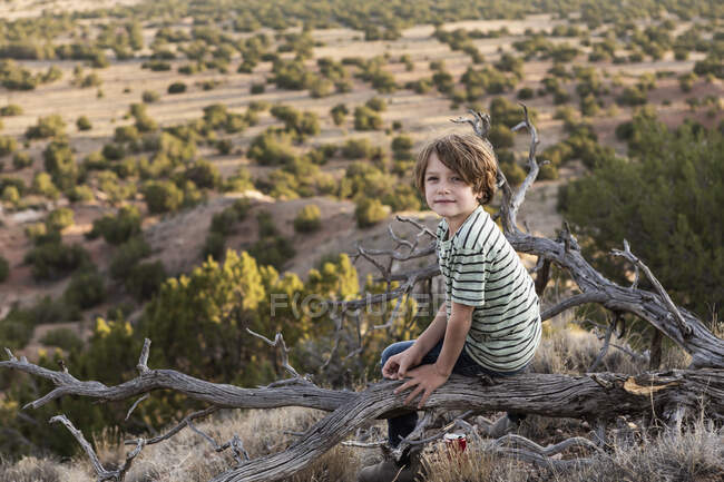Мальчик, Бассейн Джезео, Санта-Фе, штат Нью-Мексико. — стоковое фото