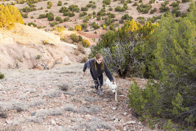 Teenage girl climbing up a slope following her golden retriever dog — Stock Photo
