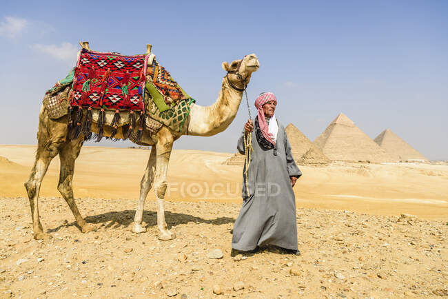Tre piramidi, monumenti e sepolture dei faraoni Khufu, Khafre e Menkaure, una guida turistica con un cammello — Foto stock