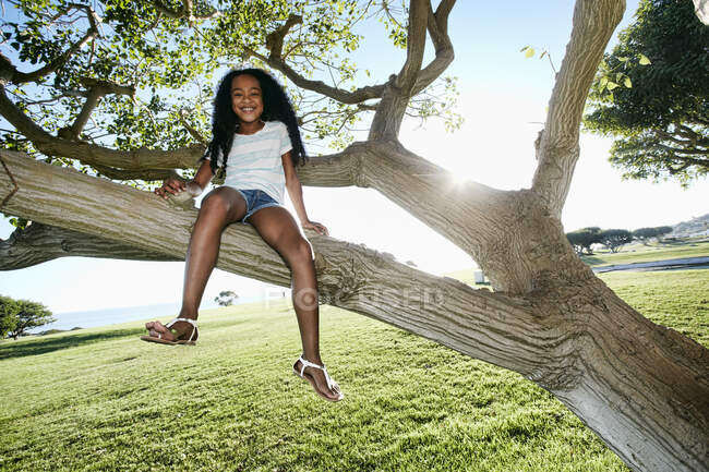Young mixed race girl sitting in a tree branch — Stock Photo