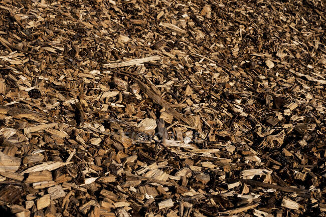 High angle close up of wood chips, full frame. — Stock Photo