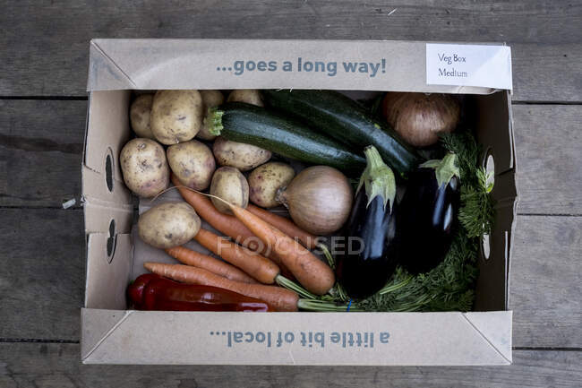 Alto ângulo de perto de uma caixa vegetal orgânica com uma seleção de produtos frescos. — Fotografia de Stock