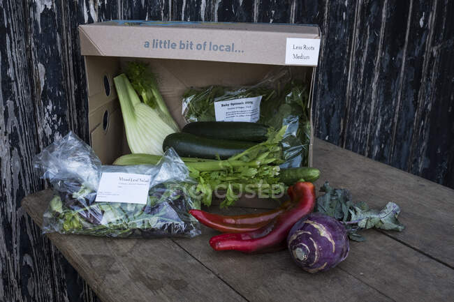 Primer plano de una caja de verduras ecológicas con una selección de productos frescos. - foto de stock