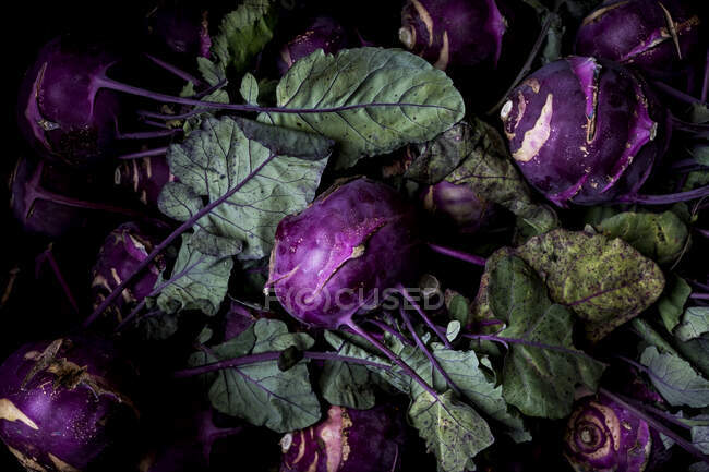 High angle close up of freshly picked kohlrabi. — Stock Photo