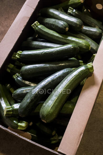 Alto angolo di chiusura della scatola di zucchine appena raccolte. — Foto stock