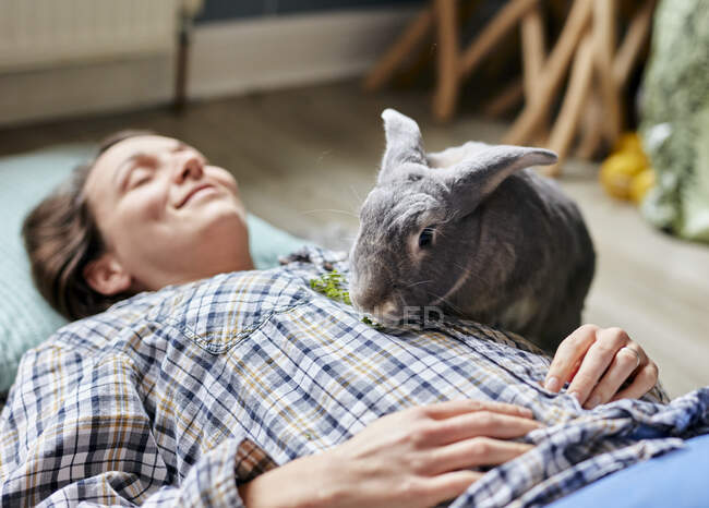 Pet house rabbit eating food on top of woman lying on floor — Stock Photo