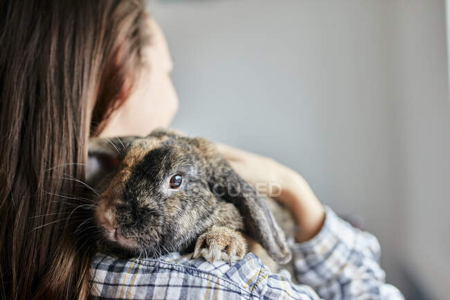 Portrait of pet house rabbit on shoulder of woman — Stock Photo