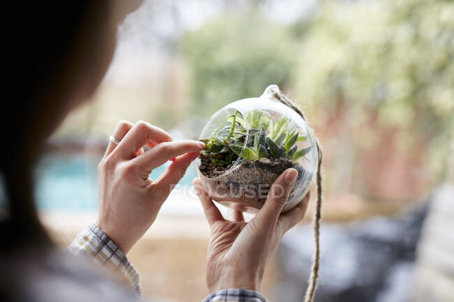 Primer plano de las manos de mujer cuidando plantas dentro de terrario de vidrio - foto de stock