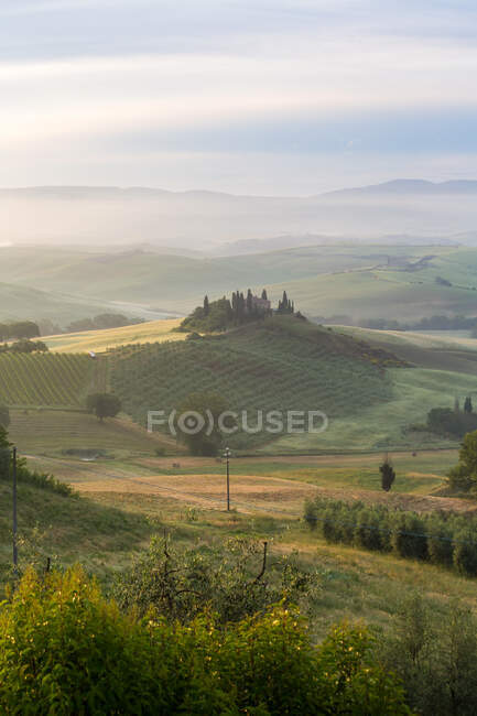 Blick auf die Landschaft, Weinberge in der Toskana — Stockfoto