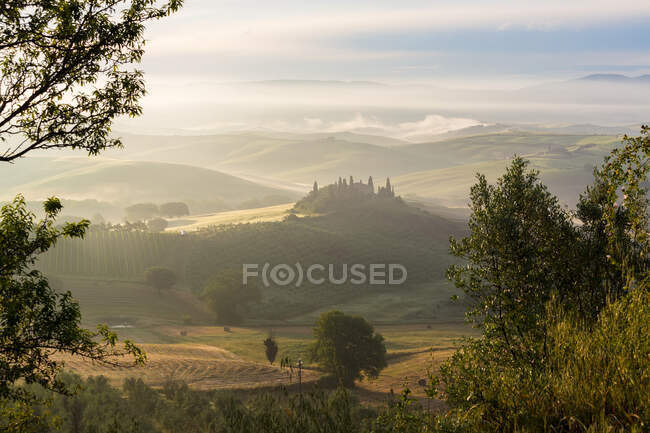 Vistas al campo, viñedos en Toscana - foto de stock