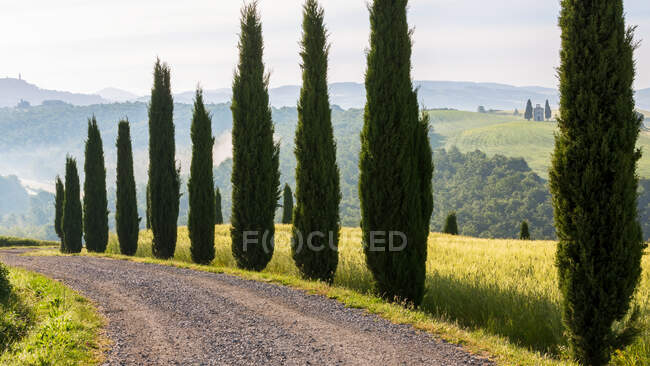Dirt track and cypress trees, Capella di Vitaleta, Val d 'Orcia, Toscana, Itália — Fotografia de Stock