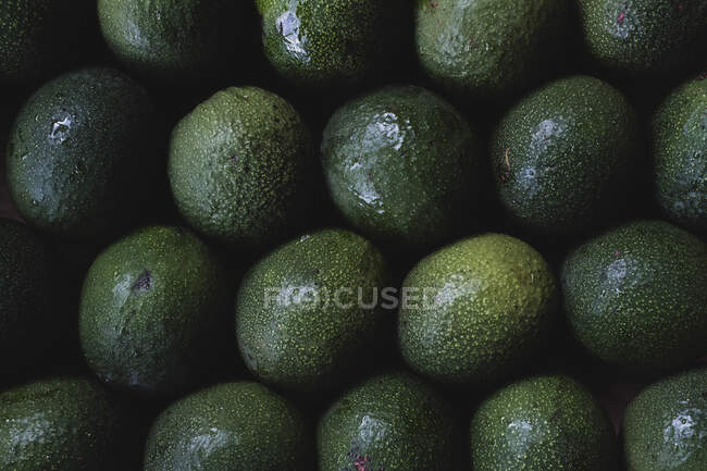 Высокий угол вблизи свежесобранных авокадо. — стоковое фото
