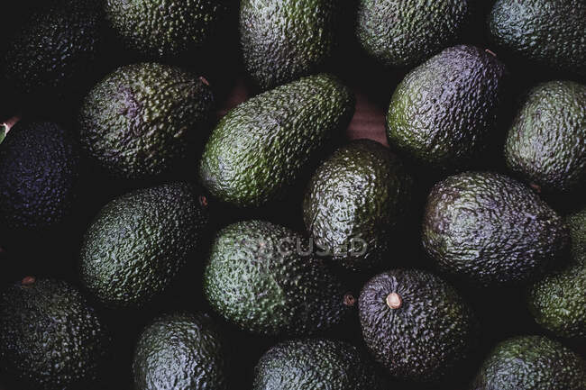 High angle close up of freshly picked avocados. — Stock Photo