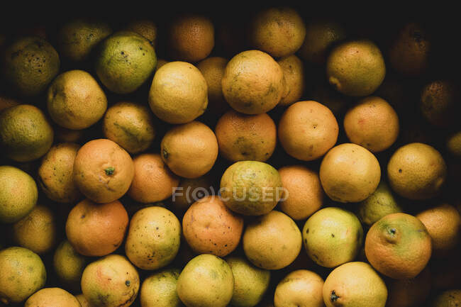 Hohe Nahaufnahme von frisch gepflückten Orangen. — Stockfoto