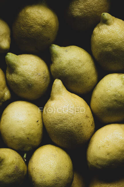 Gros plan à angle élevé de citrons fraîchement cueillis. — Photo de stock