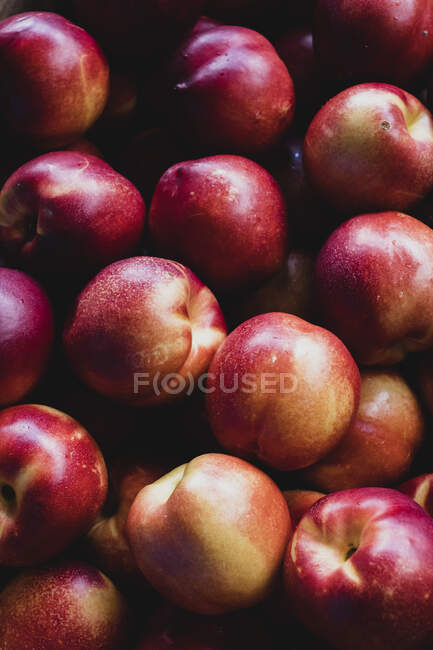 High angle close up of freshly picked yellow nectarines. — Stock Photo