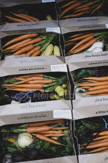 Alto ángulo de cierre de cajas de verduras y frutas con racimos de zanahorias y plátanos recién recogidos. - foto de stock