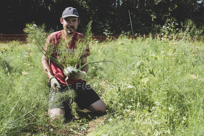 Fermier agenouillé dans un champ, souriant à la caméra, tenant le fenouil fraîchement cueilli. — Photo de stock