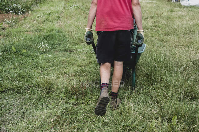 Vista trasera del agricultor caminando por el campo, empujando la carretilla. - foto de stock