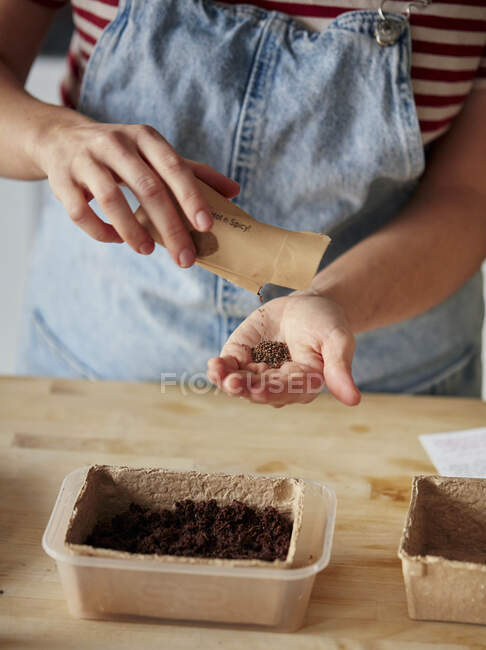 Woman pouring microgreen seeds from packet into hand at home — Stock Photo