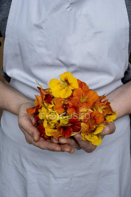 Close up of person holding bunch of edible flowers. — Stock Photo
