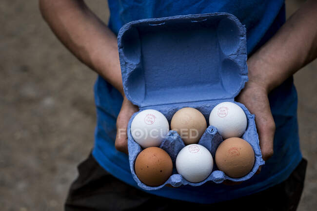 Закрыть лицо, держащее синюю коробку с коричневыми и белыми яйцами. — стоковое фото