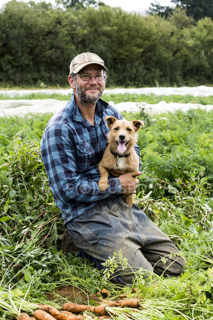 Agricultor arrodillado en un campo, sosteniendo lindo perro - foto de stock