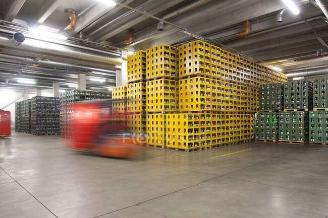 Lager und Distributionszentrum für Waren, Paletten, Hebezeuge und Regale. Eingeschrumpfte Kartons und Kisten Bier für den Transport. Rollbank — Stockfoto