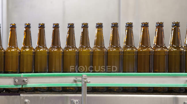 Beer bottling plant with moving belts, rows of bottles, automated process, capping and labeling — Foto stock