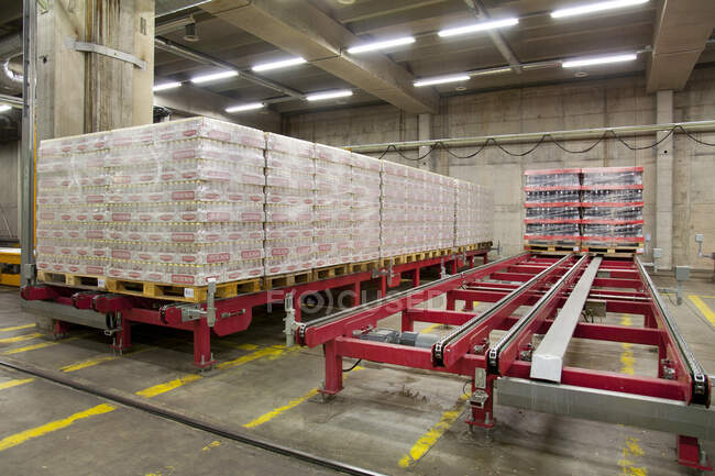 Warehouse and distribution centre for goods, platforms and pallets, lifting equipment and racking. Shrink wrapped cartons — Foto stock