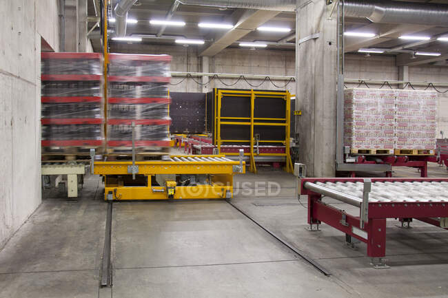 Warehouse and distribution centre for goods, platforms and pallets, lifting equipment and racking. Shrink wrapped cartons — Photo de stock